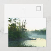 Landschap Boom watermoeras Briefkaart (Voorkant / Achterkant)