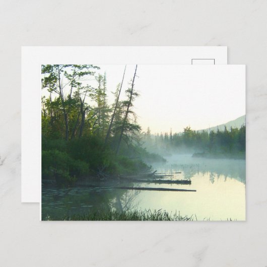 Landschap Boom watermoeras Briefkaart (Voorkant / Achterkant)