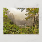 Landschap bos en oceaan briefkaart (Voorkant)