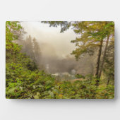 Landschap bos en oceaan fotoplaat (voorkant)