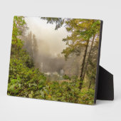 Landschap bos en oceaan fotoplaat (Zijkant)