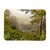 Landschap bos en oceaan magneet (Horizontaal)