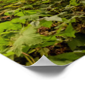 Landschap bos en oceaan poster (Hoek)