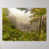 Landschap bos en oceaan poster (Voorkant)