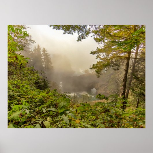 Landschap bos en oceaan poster (Voorkant)