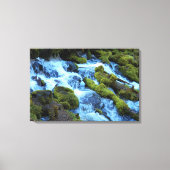 Landschap Bos Waterval Canvas Afdruk (Voorkant)