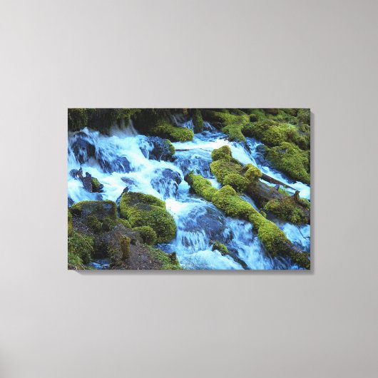 Landschap Bos Waterval Canvas Afdruk (Voorkant)