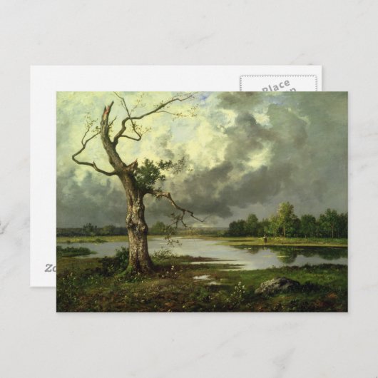 Landschap Briefkaart (Voorkant / Achterkant)