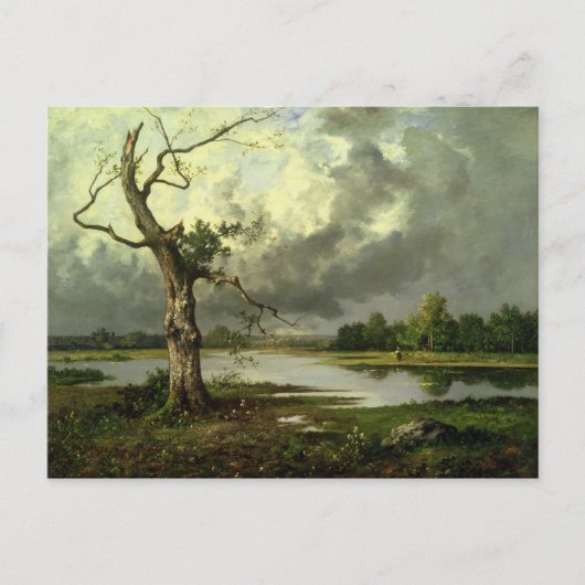Landschap Briefkaart (Voorkant)