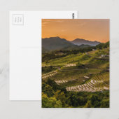 Landschap Briefkaart (Voorkant / Achterkant)