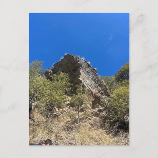 Landschap Briefkaart (Voorkant)