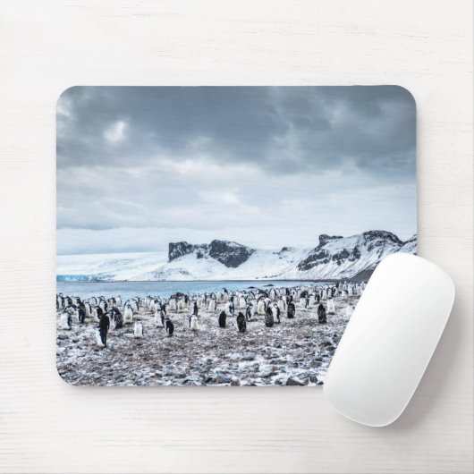 Landschap Chinstrap Penguin Colony Muismat (Met muis)