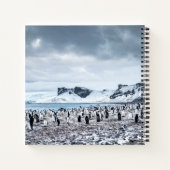 Landschap Chinstrap Penguin Colony Notitieboek (Achterkant)