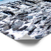 Landschap Chinstrap Penguin Colony Poster (Hoek)