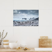 Landschap Chinstrap Penguin Colony Poster (Keuken)