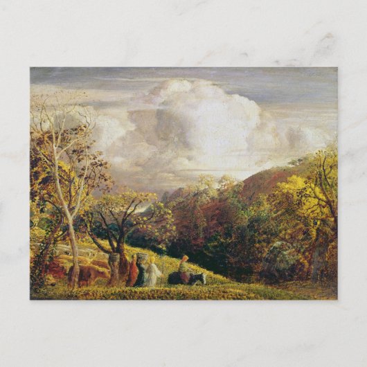 Landschap, cijfers en vee briefkaart (Voorkant)