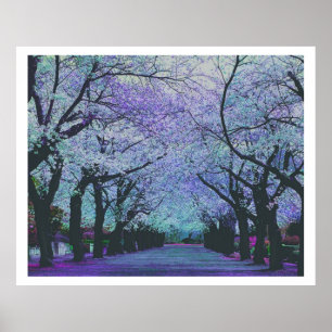 Landschap Colorful Spring Blossom Park Poster