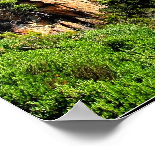 Landschap Corsica Poster (Hoek)