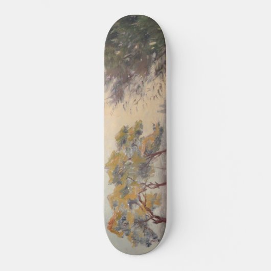 Landschap (door Léo Gausson) Persoonlijk Skateboard (Voorkant)