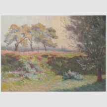 Landschap (door Léo Gausson)