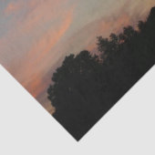 Landschap Elkridge Sunset Maryland Tissuepapier (Detail)