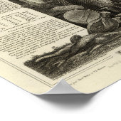 Landschap en bossen poster (Hoek)