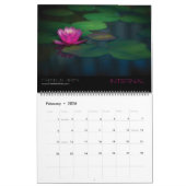 Landschap en Natuur Fotografie door Franklin Arts Kalender (Feb 2026)