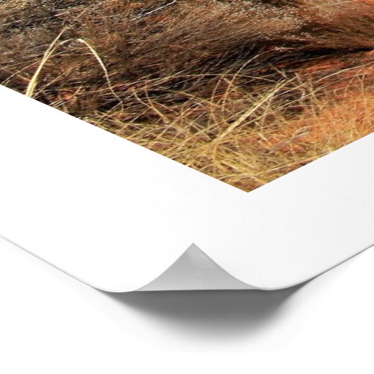 Landschap Fay Canyon Poster (Hoek)