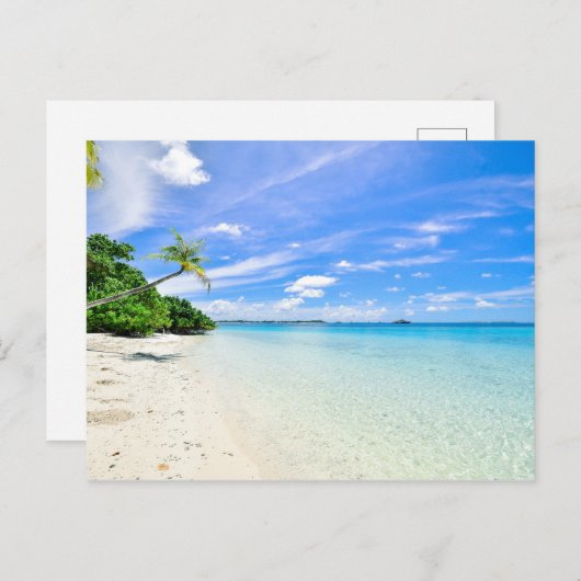 Landschap Fotografie van bomen op de Shoreline Briefkaart (Voorkant / Achterkant)