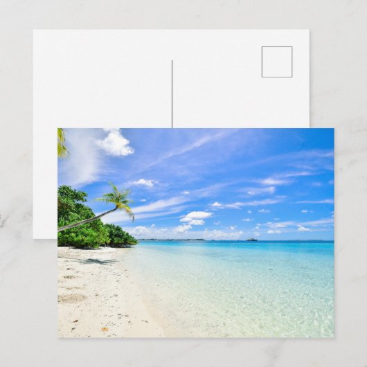 Landschap Fotografie van bomen op de Shoreline Feestdagenkaart (Voorkant / Achterkant)