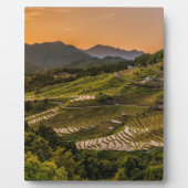 Landschap Fotoplaat (Voorkant)