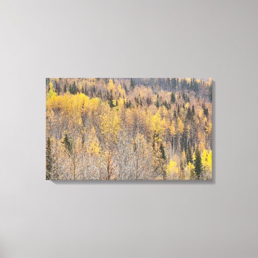 Landschap Geel Sinaasappel Alaska Herfst Canvas Pr Afdruk (Voorkant)