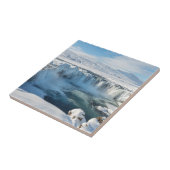 Landschap Godafoss Waterfall Tegeltje (Zijkant)