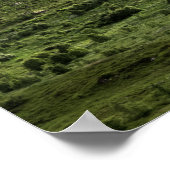 Landschap Groene Lofoten Poster (Hoek)