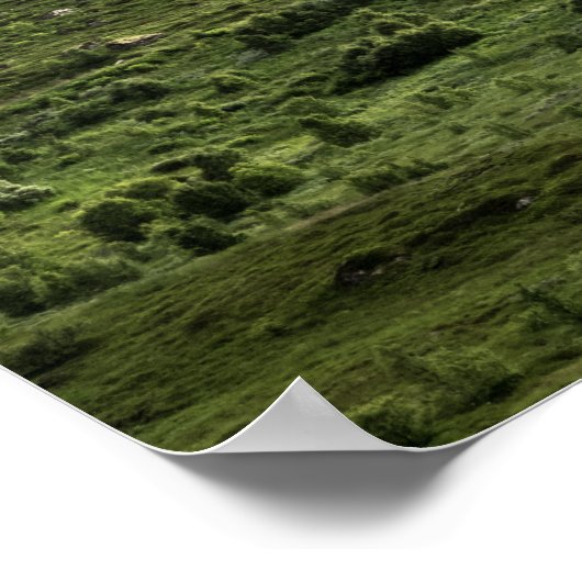 Landschap Groene Lofoten Poster (Hoek)