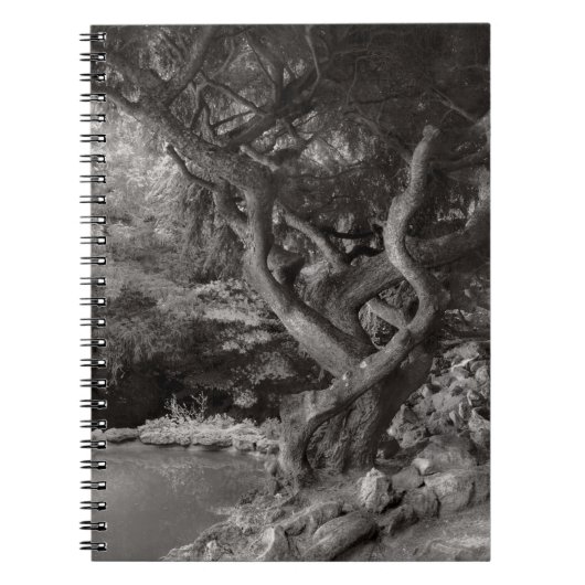 Landschap - Het Verboden Woud Notitieboek (Voorkant)