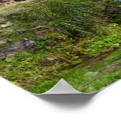 Landschap Hodgson Mill Poster (Hoek)
