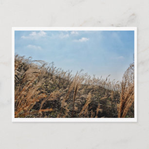 Landschap Hong Kong Briefkaart
