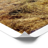 Landschap Idaho Mountain Poster (Hoek)