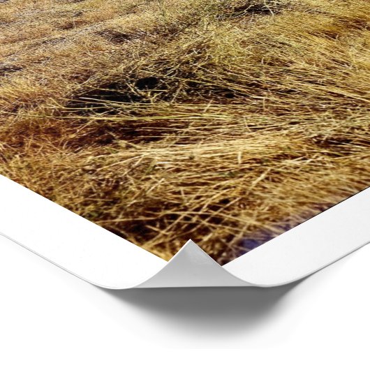 Landschap Idaho Mountain Poster (Hoek)