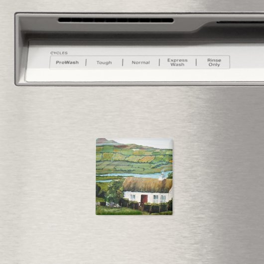 Landschap Iers Magnet Ierland (Insitu (Vaatwasser))