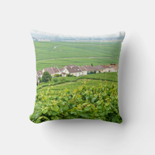 landschap in Champagne-Ardenne, Frankrijk Kussen