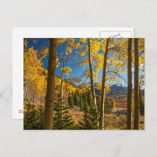 Landschap in de San Juan-bergen Briefkaart (Voorkant / Achterkant)