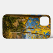 Landschap in de San Juan-bergen Case-Mate iPhone Case (Achterkant (horizontaal))