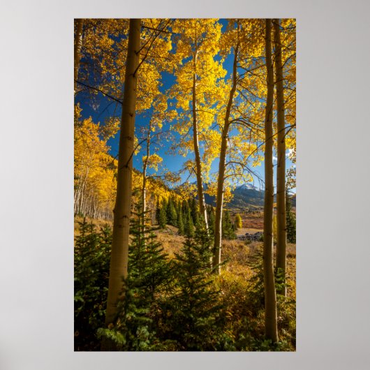 Landschap in de San Juan-bergen Poster (Voorkant)