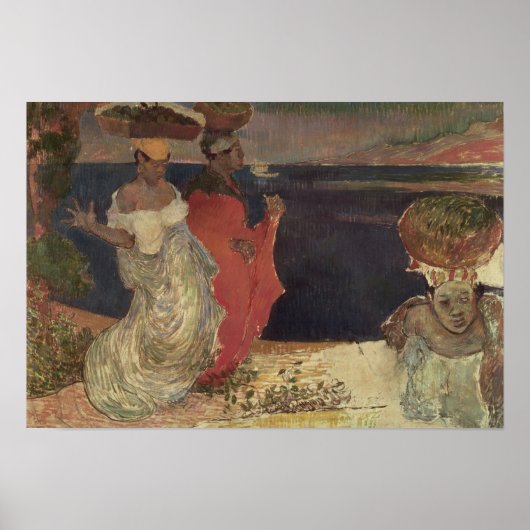 Landschap in Martinique Poster (Voorkant)