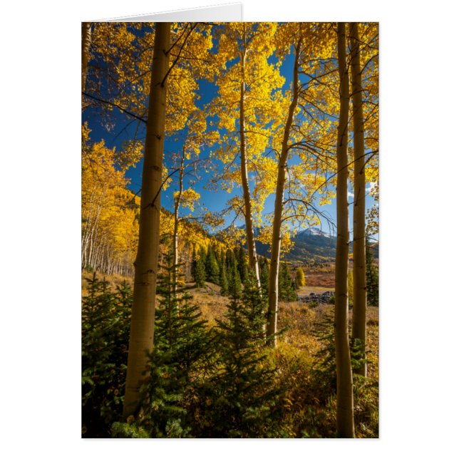 Landschap in San Juan Mountains (Voorkant)