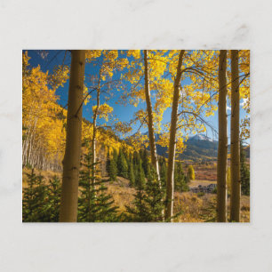 Landschap in San Juan Mountains Briefkaart