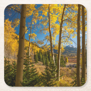 Landschap in San Juan Mountains Kartonnen Onderzetters
