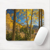 Landschap in San Juan Mountains Muismat (Met muis)